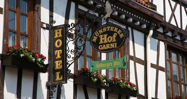 Hotel Munsterer Hof